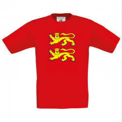 T-shirt Enfant "NORMANDIE"